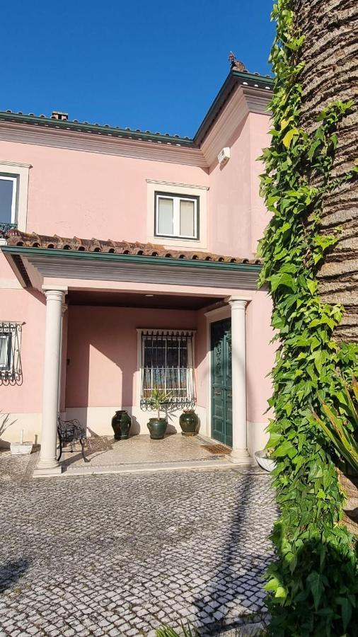 Casa Da Palmeira Leiria Exteriör bild