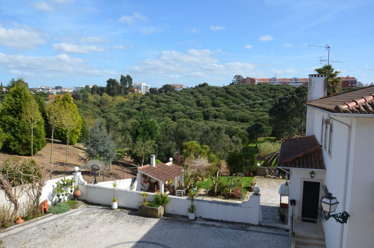 Casa Da Palmeira Leiria Exteriör bild