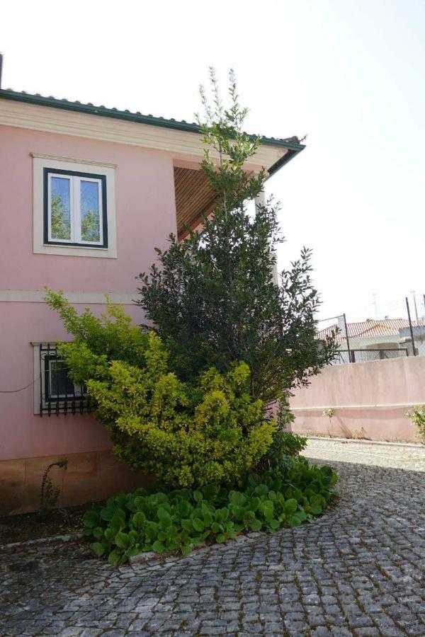 Casa Da Palmeira Leiria Exteriör bild